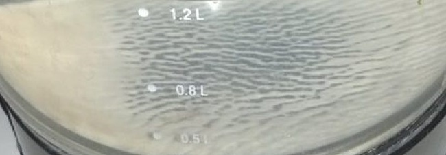 фото белого налета в самогоне