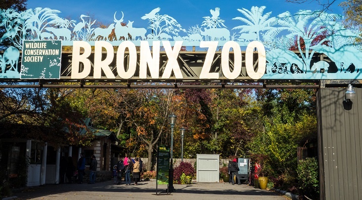 зоопарк Бронкса