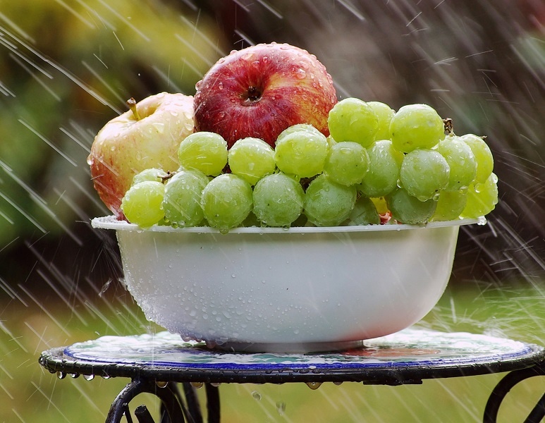 мацерация самогона яблоками и виноградом