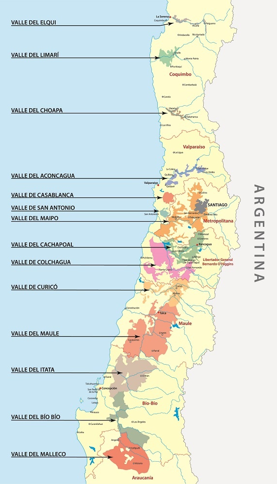 винодельческие регионы Чили