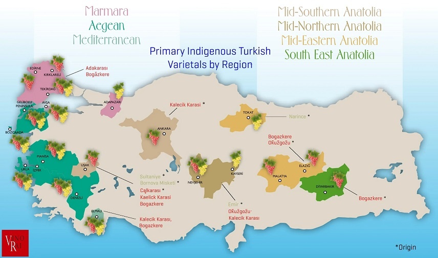 карта турецкого виноделия