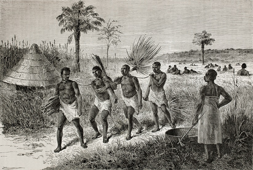 фото рабов на плантации сахарного тростника