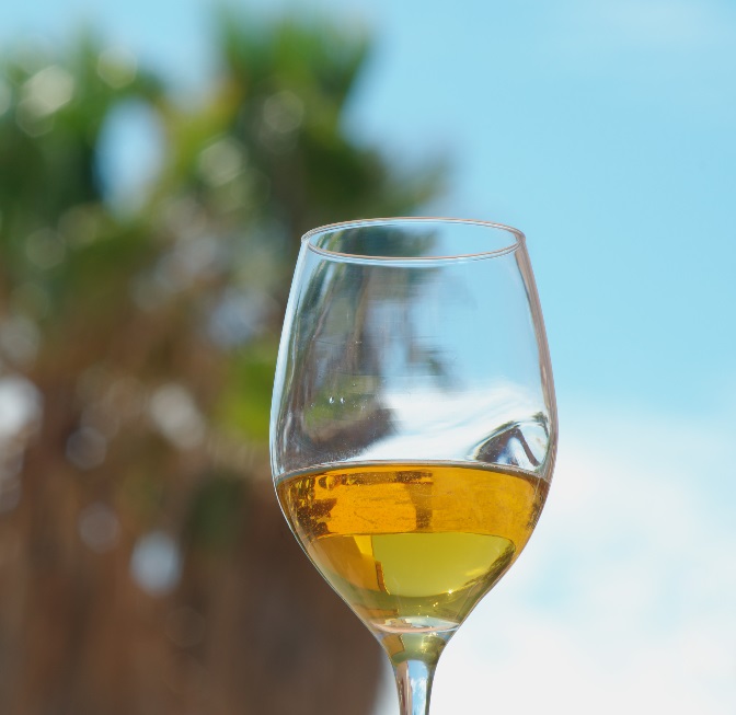 фото вина верментино в бокале