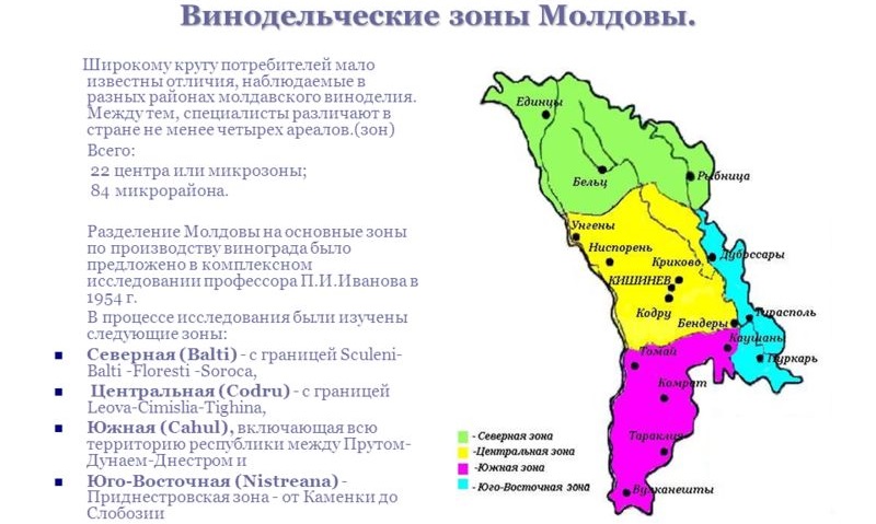 фото винодельческих регионов Молдовы