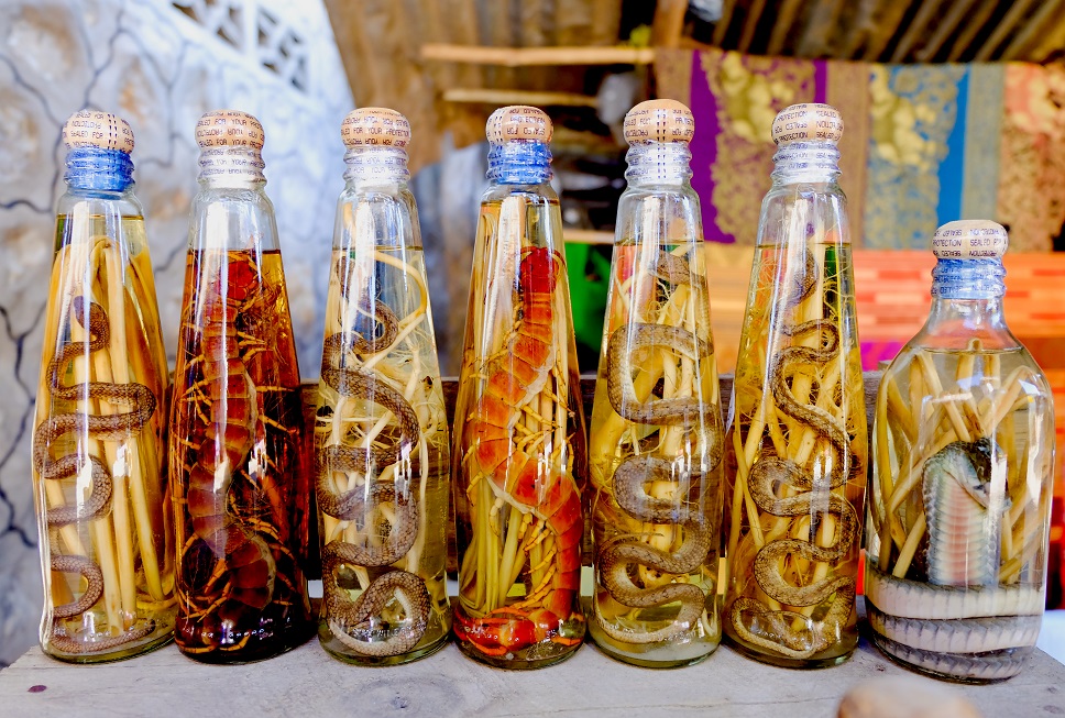 фото змеиного вина из Вьетнама